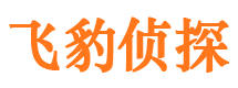 武川捉小三公司